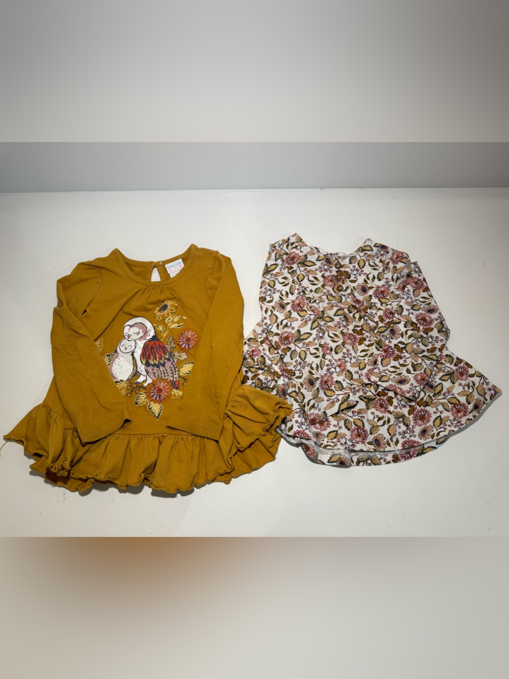 Maggie & Zoe 2T Girls Floral & Owl Shirt Bundle – 2 Piece